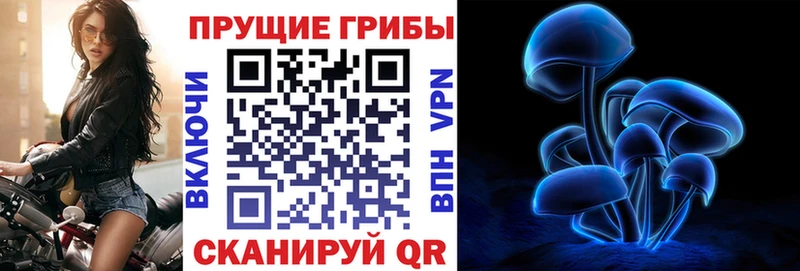 Галлюциногенные грибы Psilocybine cubensis  Михайлов 